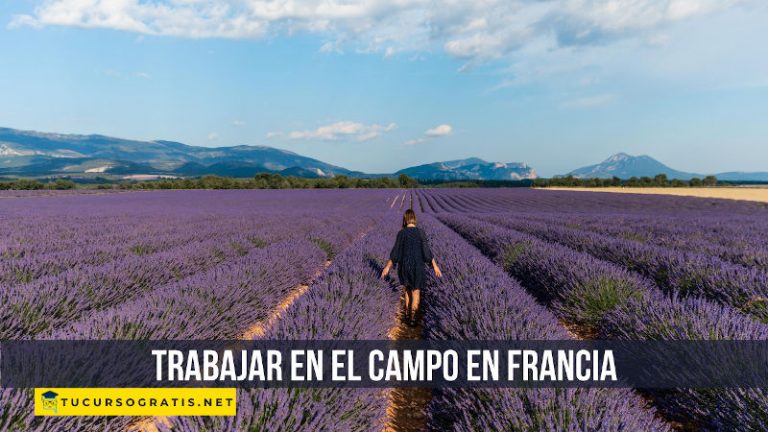 trabajar en el campo en Francia