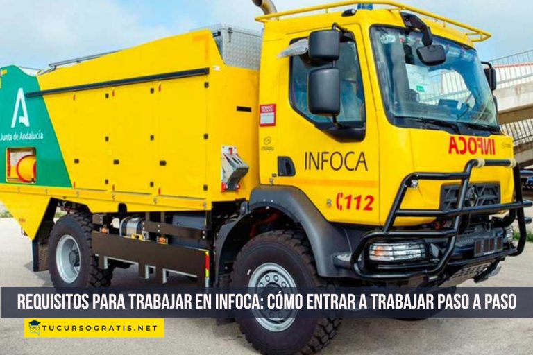Requisitos para trabajar en Infoca: cómo entrar a trabajar paso a paso