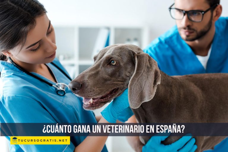¿Cuánto gana un veterinario en España?