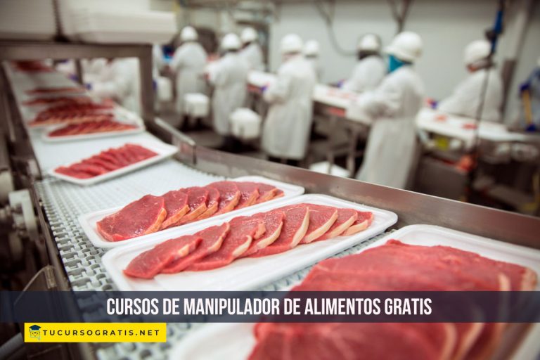 Cursos manipulador de alimentos gratis