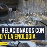 cursos relacionados con el vino y la enología en Madrid gratis