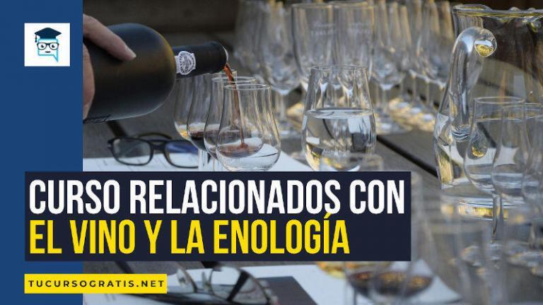 cursos relacionados con el vino y la enología en Madrid gratis