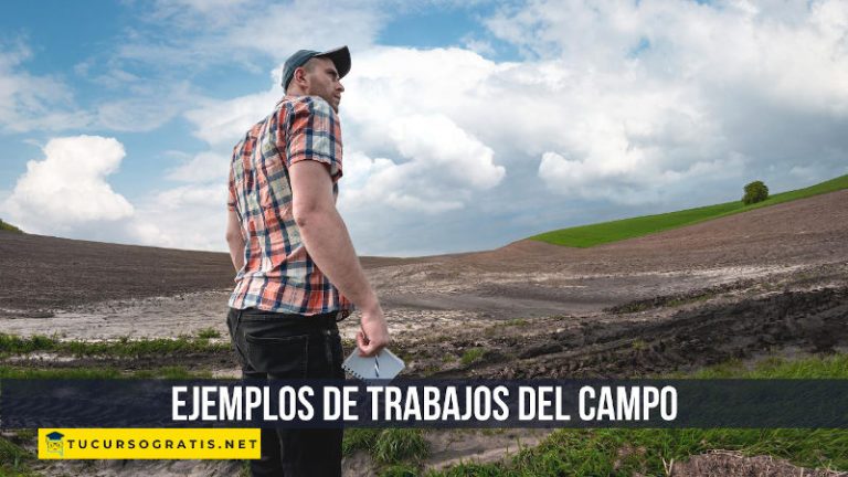 10 Ejemplos de trabajos del campo 【tucursogratis.net】