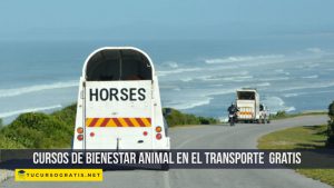 Cursos de bienestar animal en el transporte gratis online