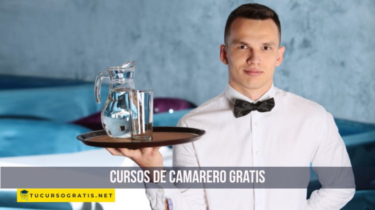 cursos camarero gratis