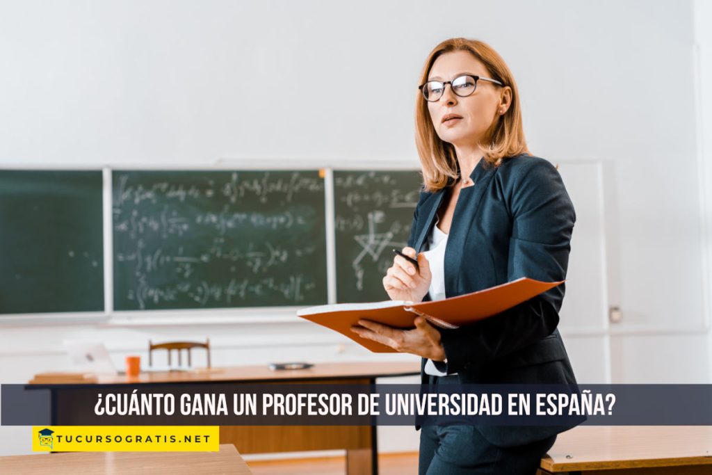 ¿Cuánto gana un profesor de universidad en España en 2025?