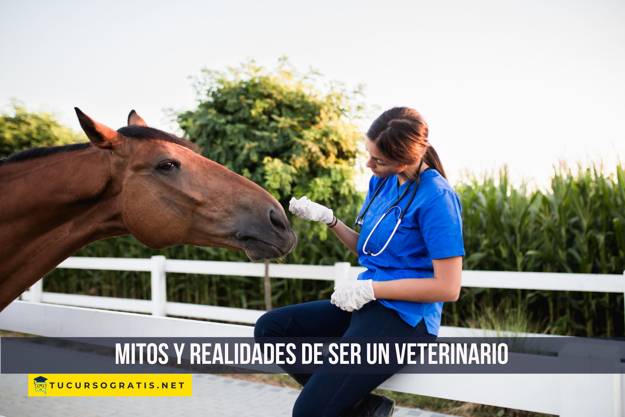 Mitos y realidades de ser un veterinario