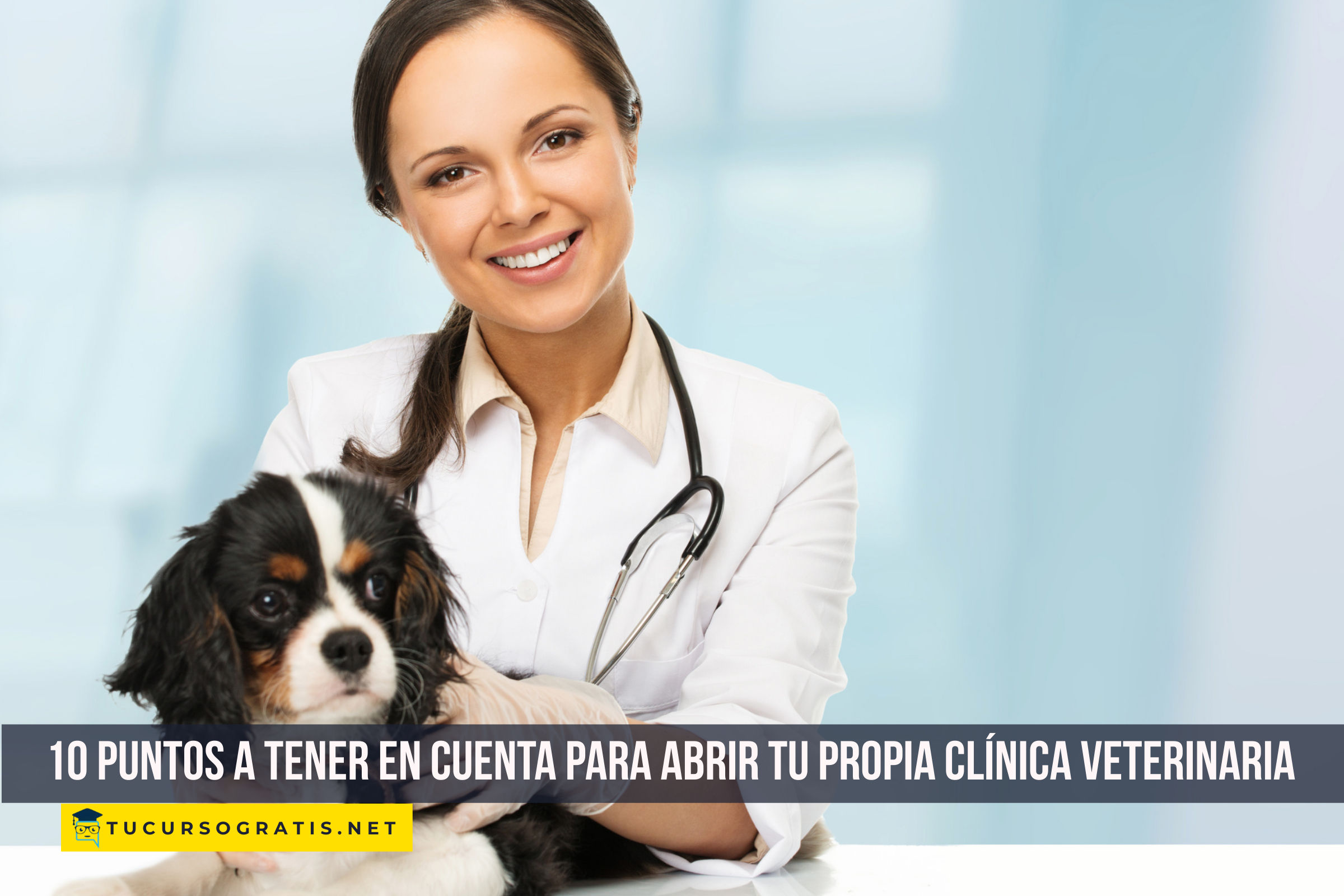 10 Puntos a tener en cuenta para abrir tu propia clínica veterinaria